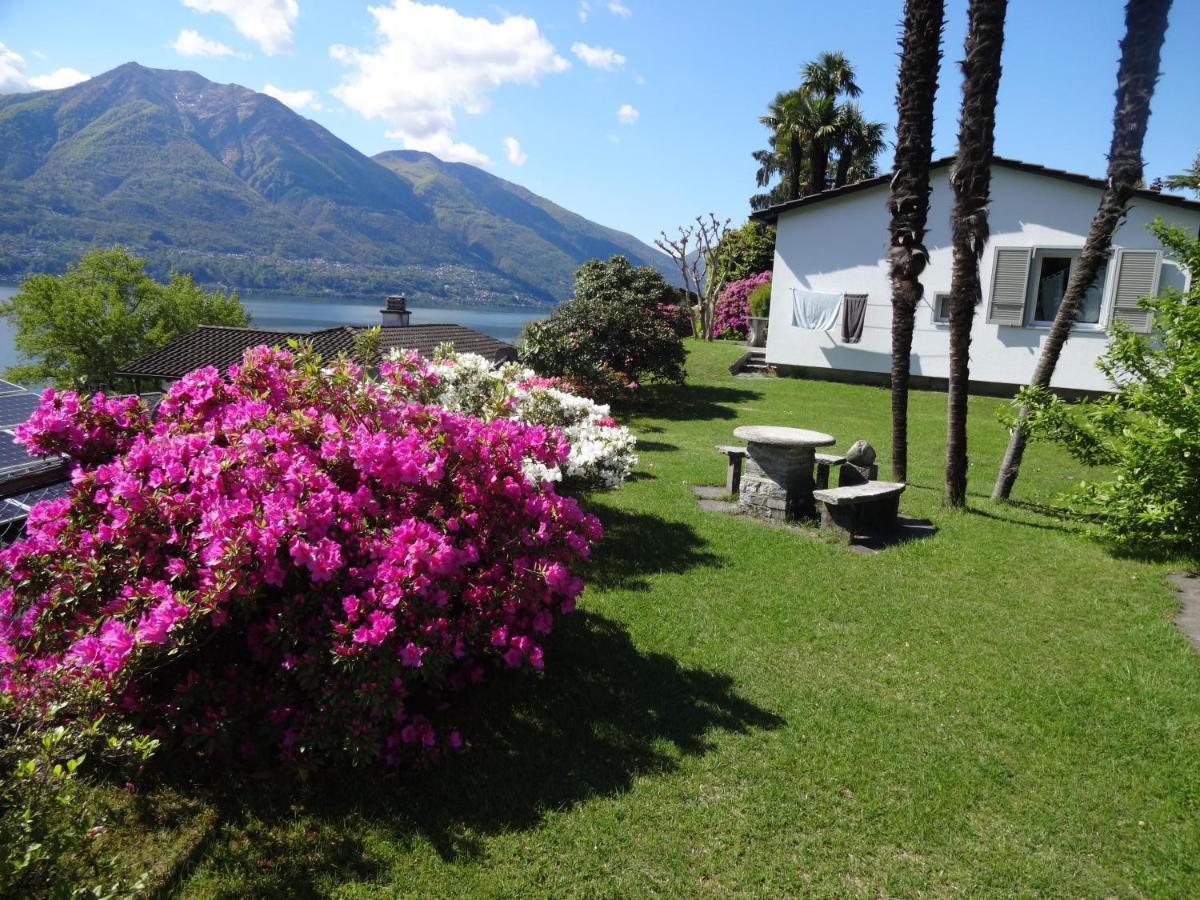 Residenza Paradiso Di Vacanze Minusio Ngoại thất bức ảnh