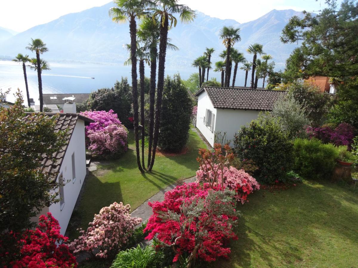 Residenza Paradiso Di Vacanze Minusio Ngoại thất bức ảnh
