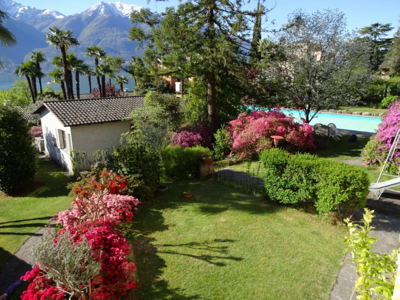 Residenza Paradiso Di Vacanze Minusio Ngoại thất bức ảnh