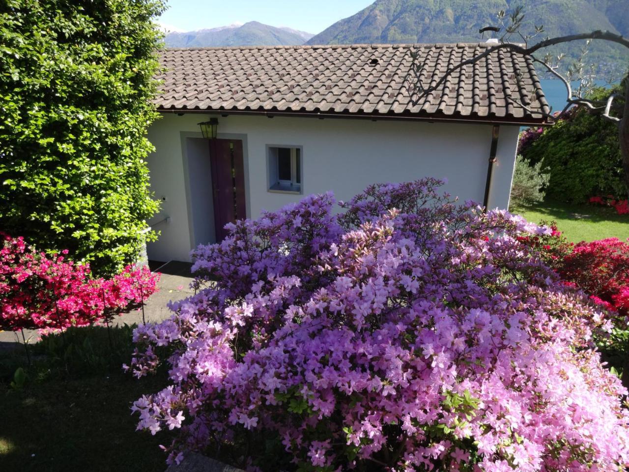 Residenza Paradiso Di Vacanze Minusio Ngoại thất bức ảnh